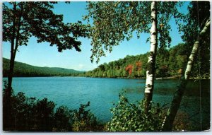 Postcard - Maine Vacationland, USA, North America