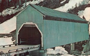 Hyder, AK Alaska  COVERED BRIDGE Texas Creek #393~Only One In Alaska  Postcard