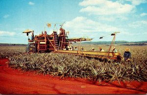 Hawaii Pineapple Harvesting Mechanical Harvester