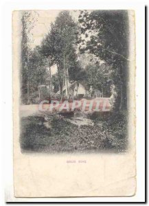 Old Postcard Undergrowth
