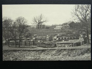 Northumberland CILURNUM Roman Villa on Hadrians Walls - Old Postcard by Gibson