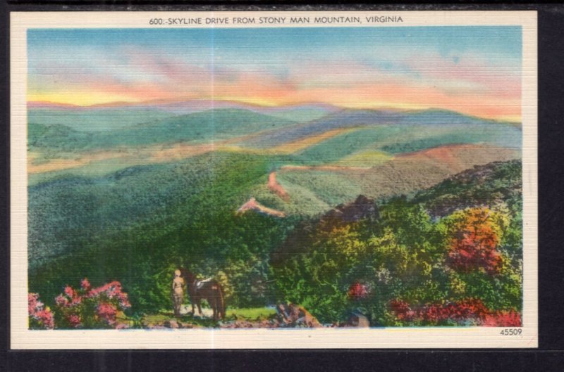 Skyline Drive from Stony Man Mountain,VA