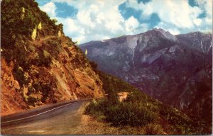 Sequoia National Park California Scenic Mountain Landscape Chrome Postcard 