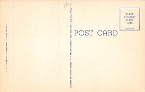 Bathing Beauty Post Card Saucy Sailorette Unused