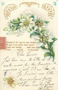 Embossed flowers fantasy greetings postcard 1904 France