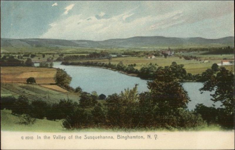 Binghamton NY Valley of the Susquehanna c1905 Postcard