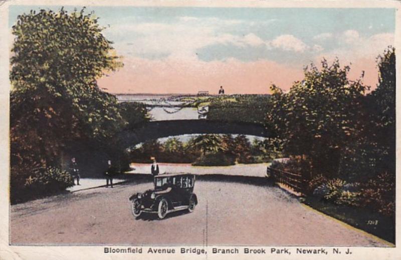 New Jersey Newark Branch Brook Park Bloomfield Avenue Bridge 1921