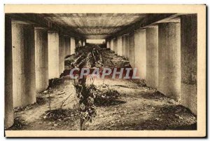 Old Postcard Monument Bayonet Trench Inside view Militaria