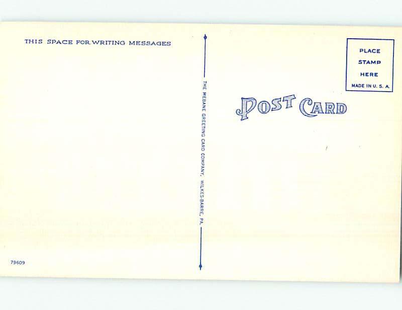 Unused Linen POST OFFICE SCENE Sunbury Pennsylvania PA hs1081-16