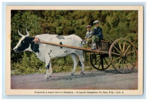 c1910 A Typical Gaspesie Ox Cart Quebec Canada Unposted Postcard 