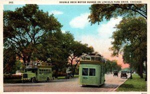 Chicago, Illinois - Double Decker Motor Buses on Lincoln Park Drive - c1920