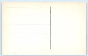 Cadiz - Puerta de Tierra - SPAIN Postcard