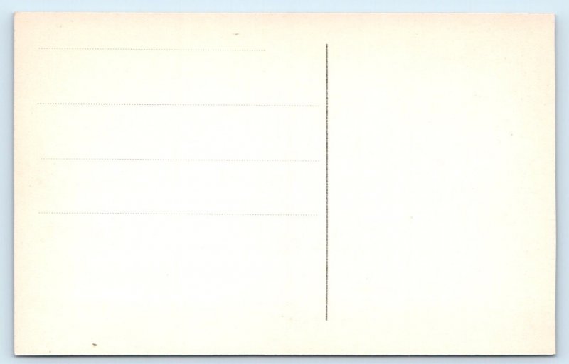 Cadiz - Puerta de Tierra - SPAIN Postcard