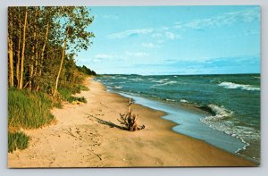 Driftwood On Shores of Great Lakes White Capped Waves Vintage Postcard 0870