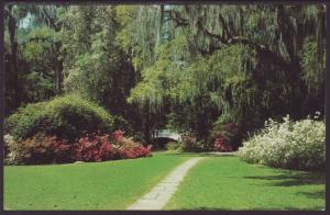 Magnolia Gardens,Charleston County,SC Postcard BIN