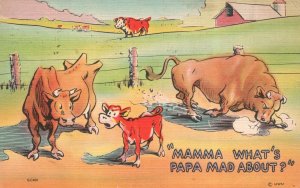 Vintage Postcard 1945 Asheville Bulls & Cow Mamma What's Papa Mad About? Comic