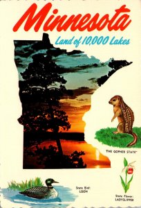 Minnesota The Gopher State With Map State Bird and State Flower