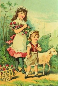 Lovely Kids Sheep Cart, Jersey Coffee, Dayton Spice Mills Co. Trade Card P74