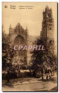 Old Postcard Belgium Bruges Cathedrale Saint Savior