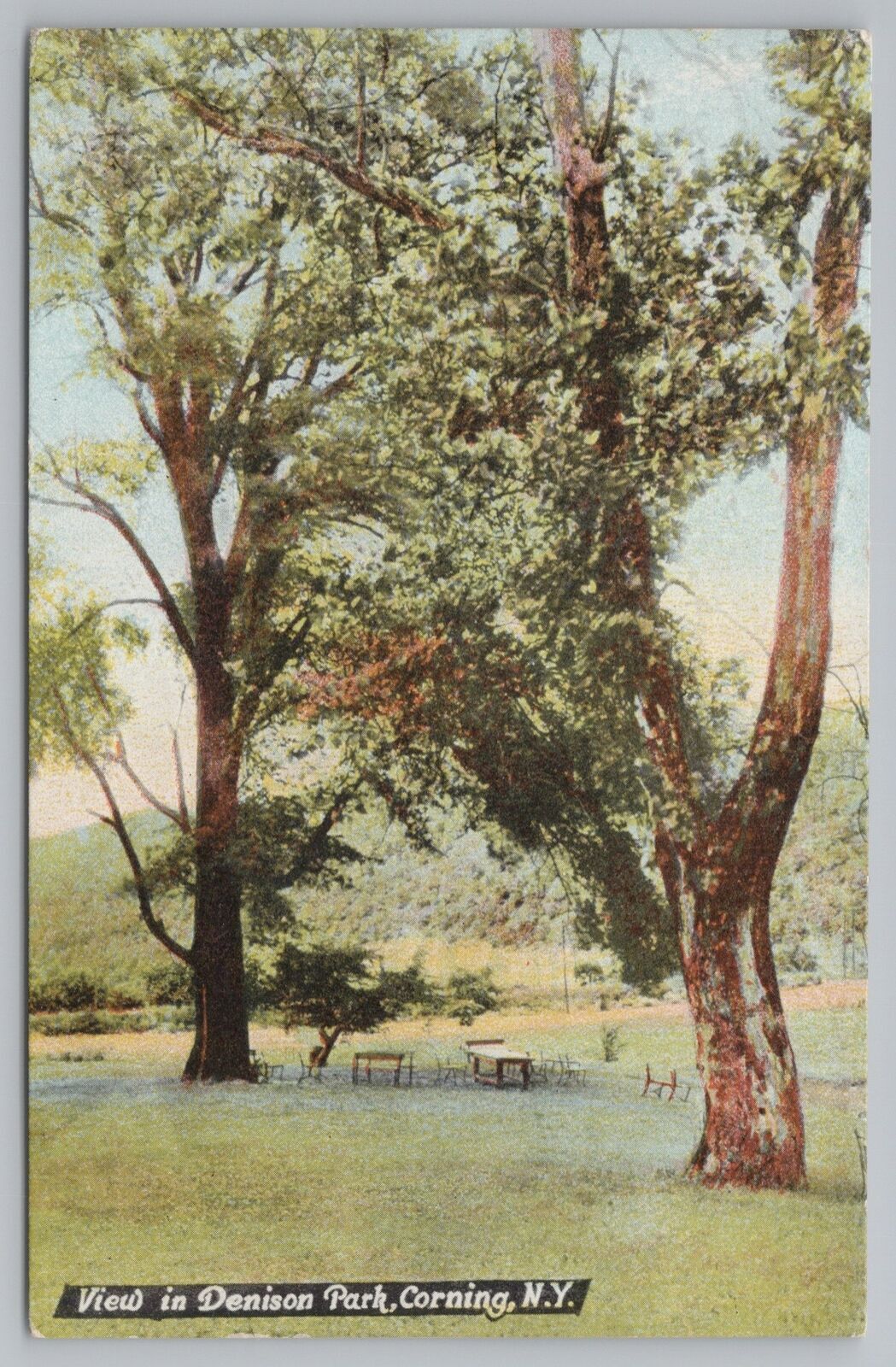 Corning New YorkDenison Park ViewPicnic Benches under TreeVintage