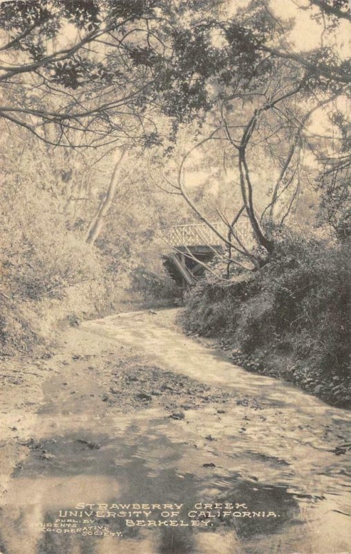 STRAWBERRY CREEK University of California, BERKELEY 1911 Vintage Postcard