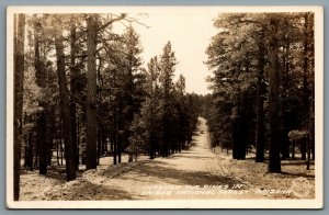 Postcard RPPC c1930 Kaibab National Forest AZ Through The Pines Frashers Old Car