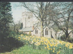 Devon Postcard - Cockington Church In Spring    LC6109