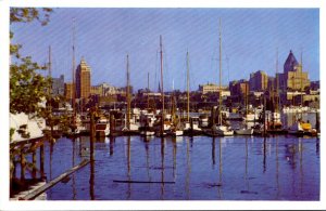 Canada Vancouver Skyline and Yacht Harbor From Stanley Park