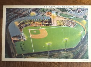 J74/ Baseball Stadium Sports Postcard Linen Columbus Red Bird Night 182