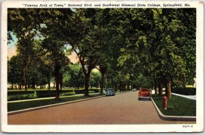 VINTAGE POSTCARD ARCH OF TREES MISSOURI STATE COLLEGE AT SPRINGFIELD 1948