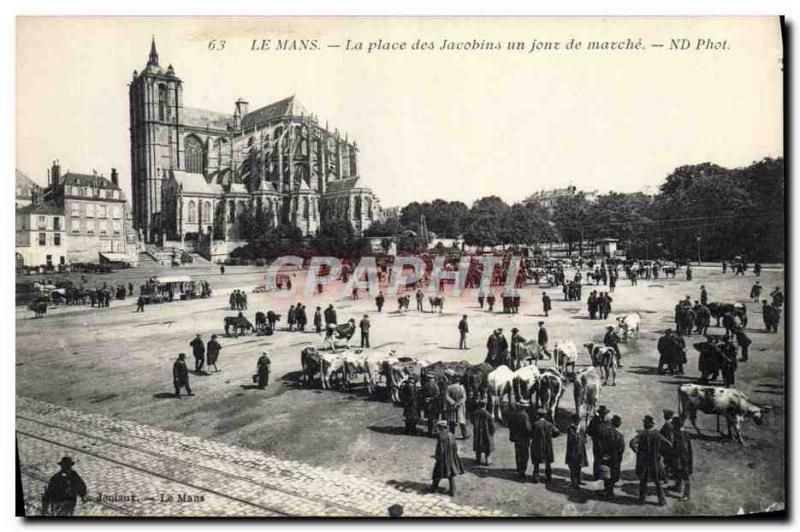 Old Postcard Le Mans Place des Jacobins a day's march Cows TOP