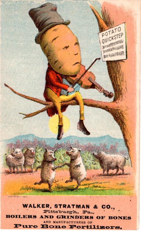 VICTORIAN TRADE CARD, POTATO HEAD.