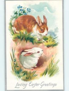 Pre-Linen easter BROWN BUNNY RABBIT NOTICES WHITE BUNNY RABBIT HL0624