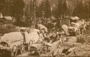 Vintage Postcard Master Photographers Wagon Trains near Cisco Taken By A.A. Hart