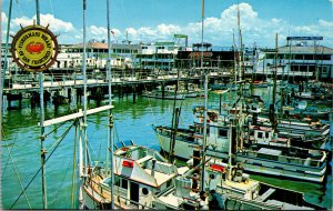 Vtg Fishermans Wharf Deep Sea Fishing Fleet San Francisco California CA Postcard