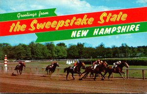 New Hampshire Greetings From The Sweepstakes State