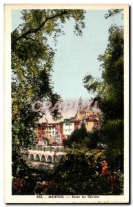 Old Postcard Menton between Olives