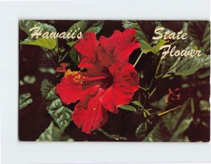 B-125175 Red Hibiscus, Hawaii's State Flower, Hawaii