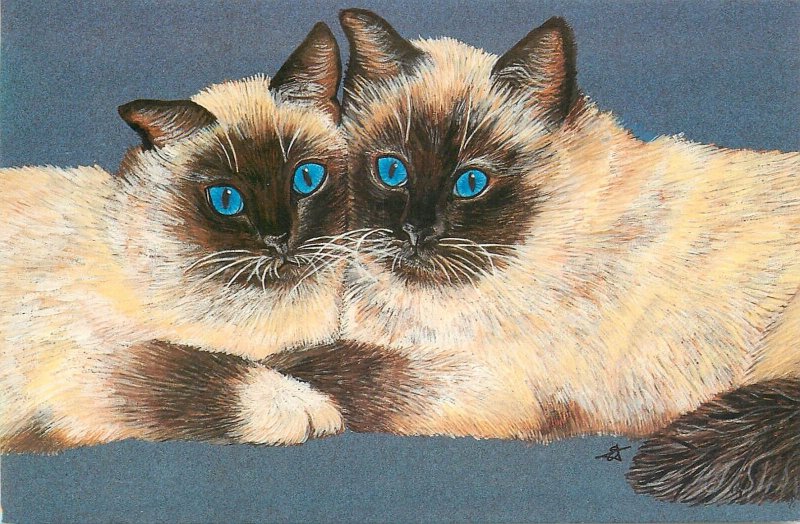 Anni`s Cats from an original by Elizabeth Titcomb postcard