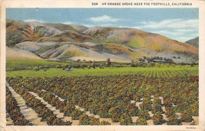 An Orange Grove Foothills California  