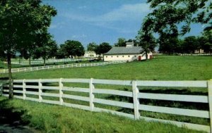 Horse Farm - Lexington, KY