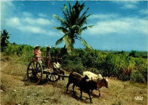 CPM Charette a boeufs GUADELOUPE (839843)