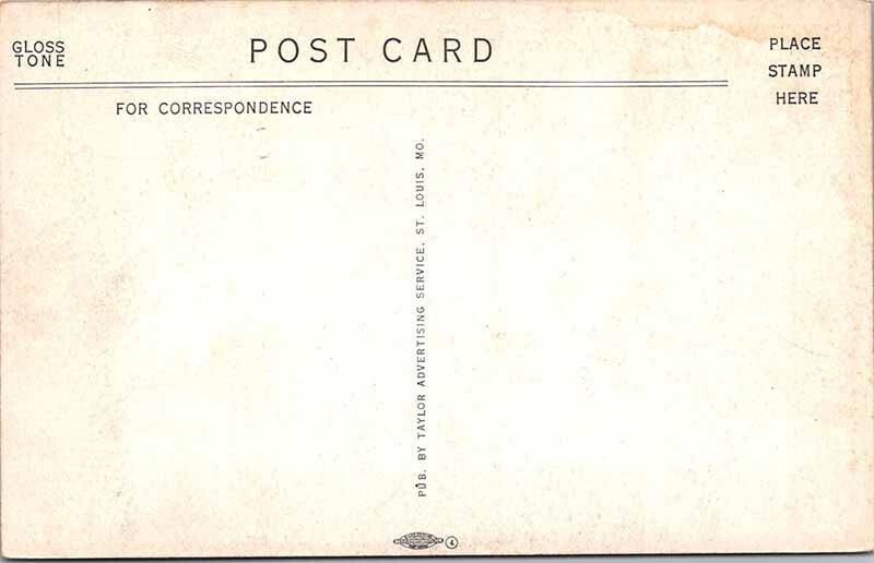 Postcard ZOO SCENE St. Louis Missouri MO AN8750