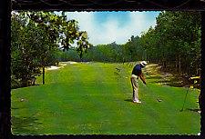 Golfer,Pikeville,TN Postcard 