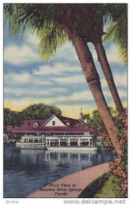 Front View of beautiful Silver Springs, Florida,   30-40s