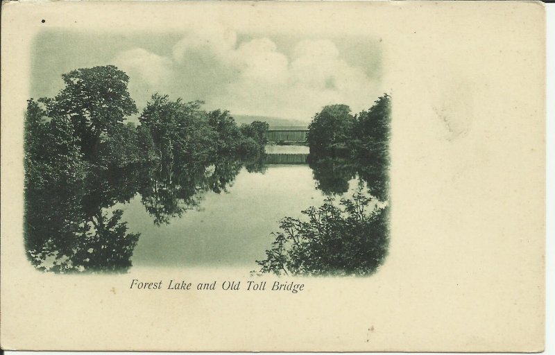 Forest Lake And Old Toll Bridge