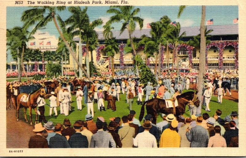 Florida Miami Hialeah Park Walking Ring Curteich