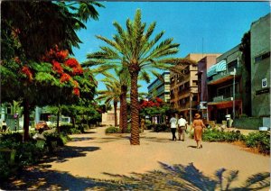 Tel-Aviv, Israel  ROTHSCHILD BOULEVARD Street Scene  4X6 Vintage Chrome Postcard