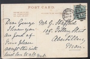 Genealogy Postcard - Stafford - 105 Tillery Street, Abertillery, Wales  RF1371