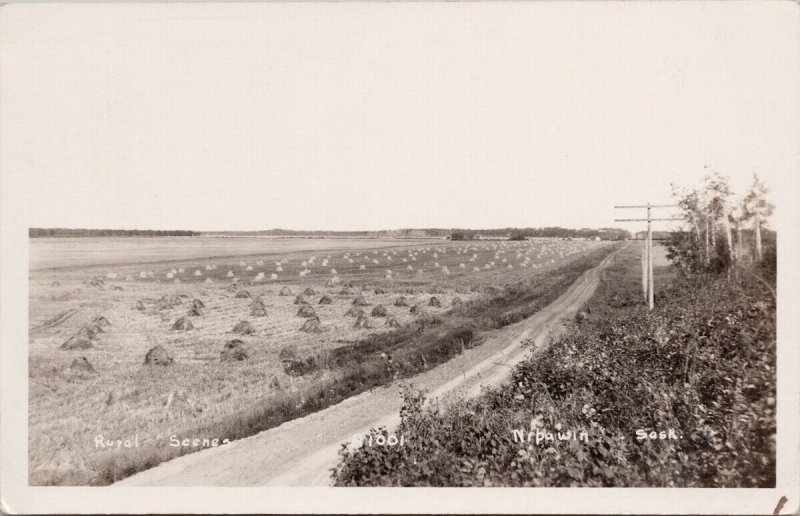 Nipawin Saskatchewan Rural Scene Hay Agriculture Sparkletone RPPC
